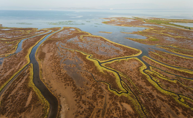 CARDIMED (Akdeniz B├Âlgesinde ─░klim De─şi┼şikli─şine Uyum ve Diren├ğ G├Âsterilmesi Projesi)